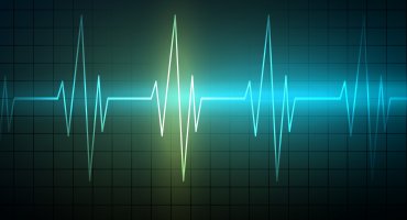 В РФ разработали ИИ-систему для скрининга сердечной недостаточности