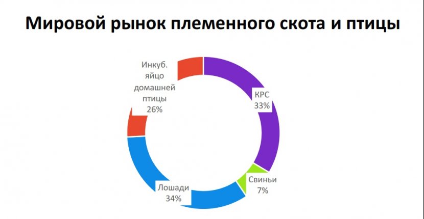 Мировой рынок племенного скота и птицы