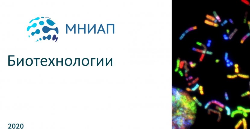 Стартапы Биотехнологии