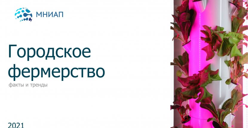 Городское фермерство