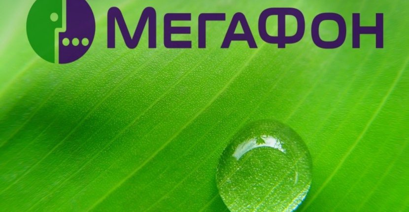 «МегаФон» открыл бесплатный доступ для онлайн-конференций