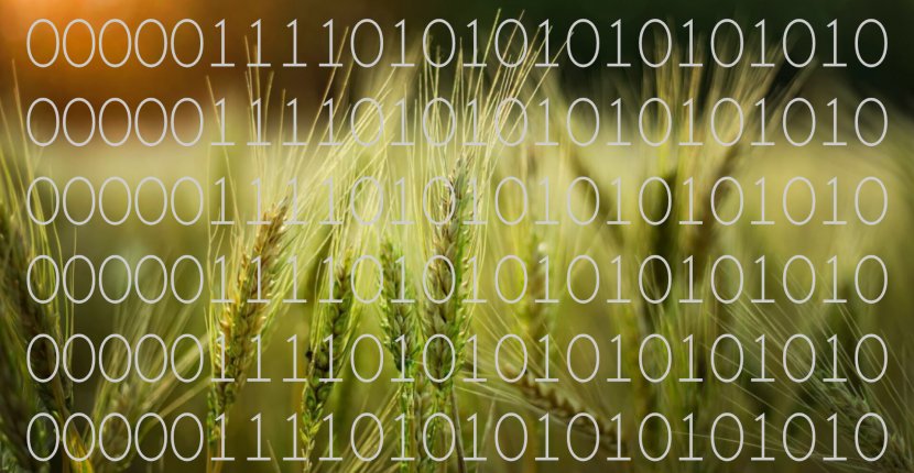 В некоторых отраслях наблюдается зависимость от зарубежных ИТ-решений