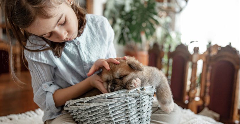 На mos.ru запустили сервис «Моспитомец»