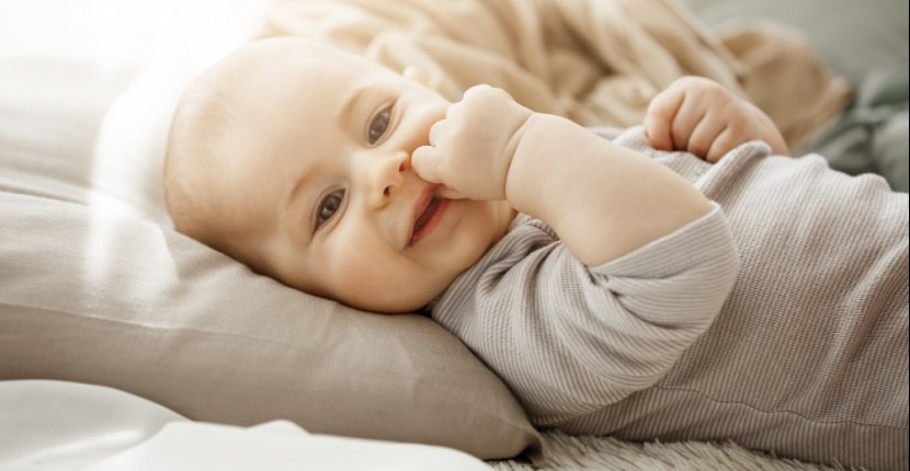 ИИ займется ЭКО